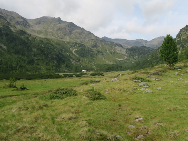 Weg 16 am Möslboden (23. Juli)