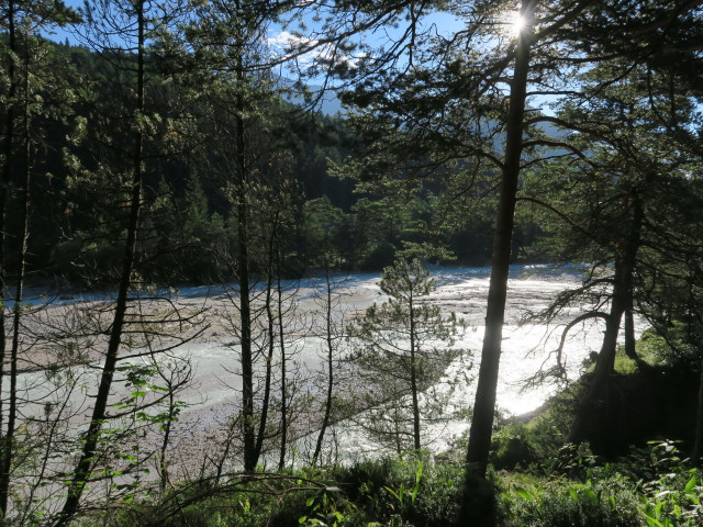 Isar vom Isarsteig aus (29. Juli)