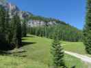 Oberer Angerwald (29. Juli)