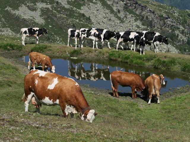 M&uuml;hlwalder J&ouml;chl, 2.342 m (4. Aug.)