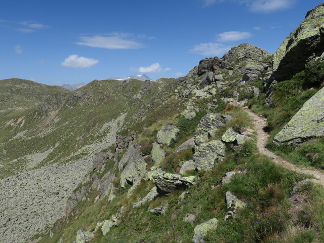 Kellerbauer H&ouml;henweg zwischen M&uuml;hlwalder J&ouml;chl und Gornerjoch (4. Aug.)