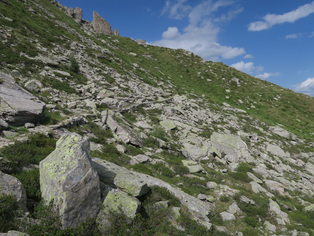 Kellerbauer H&ouml;henweg zwischen Wurmtaler J&ouml;chl und Lappacher J&ouml;chl (4. Aug.)