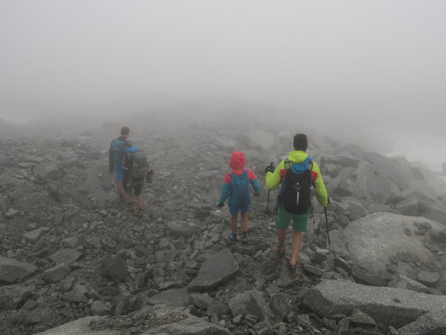 Stefan, ?, Sigrid und Christian zwischen M&ouml;selerscharte und Neveser H&ouml;henweg (5. Aug.)