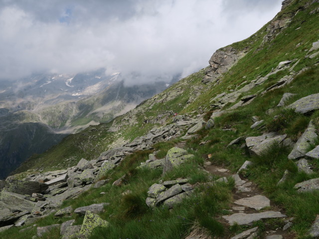 Neveser Höhenweg zwischen Am Mösele und Nevesjoch (5. Aug.)