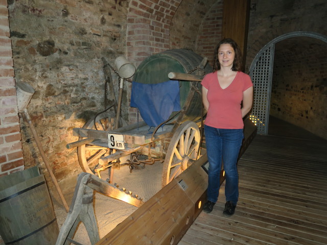 Sabine im Museum Krems