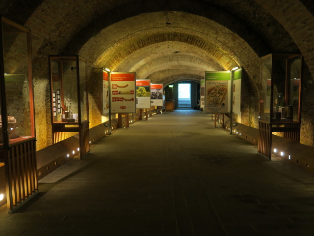 Sonderausstellung 'Kremser Senf' im Museum Krems