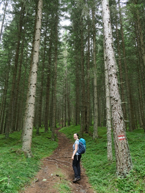 Sabine am Weg 09 zwischen Schlatting und Murauer H&uuml;tte (12. Aug.)