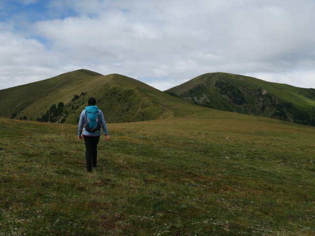 Sabine am Weg 132 zwischen Ursch und Schwarmbrunnh&ouml;he (13. Aug.)