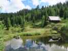 neben Weg 131 zwischen Kreischberg und Aunerhütte (13. Aug.)