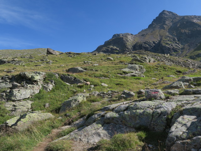zwischen Edmund-Graf-H&uuml;tte und Hohem Riffler