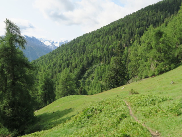 Weg 11 zwischen Gawirk und Lichtenbergscharte