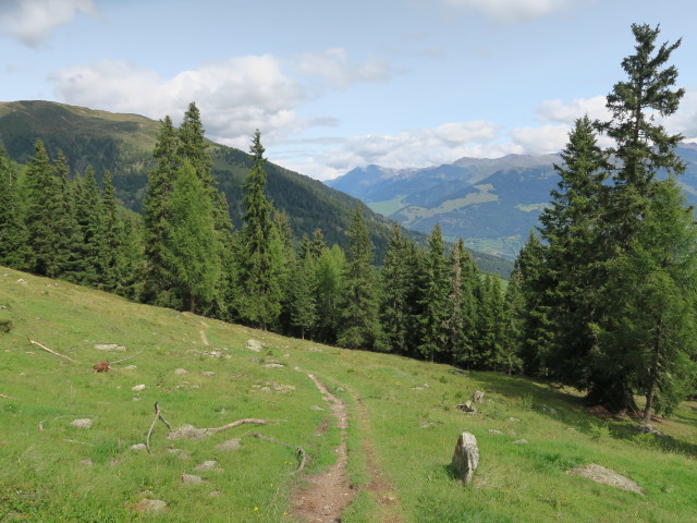 Weg 11 zwischen Lichtenbergscharte und Munwarter