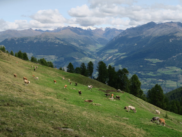 Weg 12A zwischen Lichtenbergscharte und Munwarter