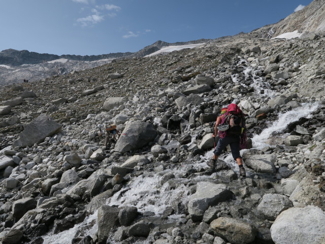 Gudrun am Neveser H&ouml;henweg zwischen Am M&ouml;sele und Muttelahner (26. Aug.)