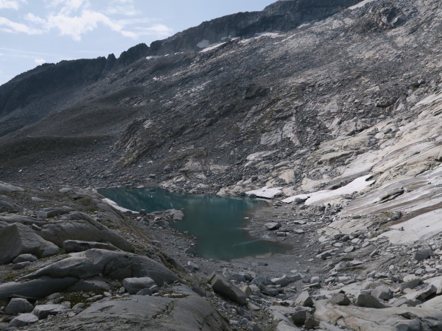 neben dem Neveser H&ouml;henweg zwischen Am M&ouml;sele und Muttelahner (26. Aug.)