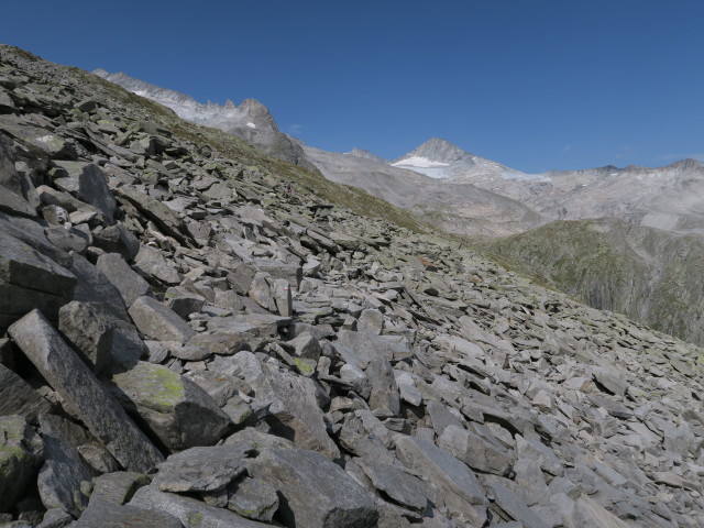 Neveser H&ouml;henweg am Muttelahner (26. Aug.)