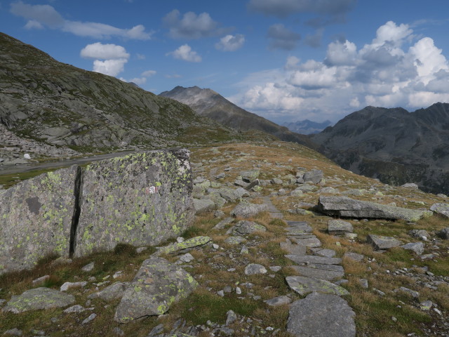 Neveser H&ouml;henweg auf den Wasserb&ouml;den (26. Aug.)