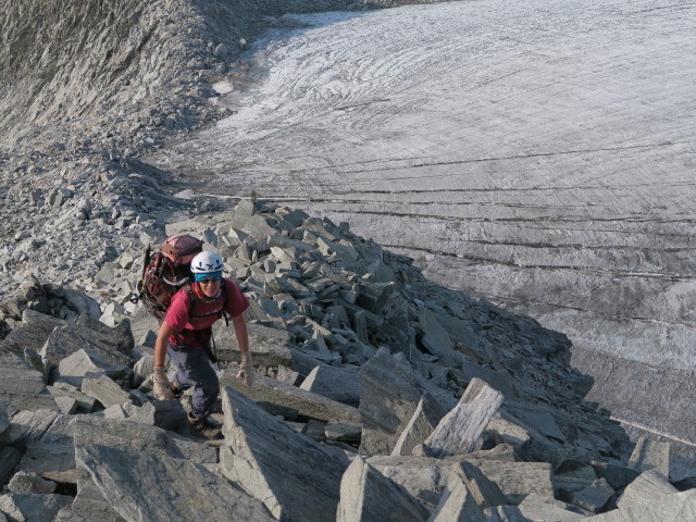 Gudrun neben dem Wei&szlig;zintferner (27. Aug.)