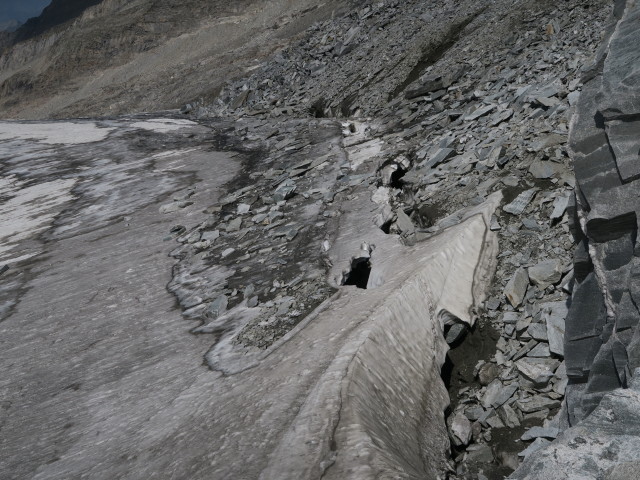 Wei&szlig;zintferner (27. Aug.)