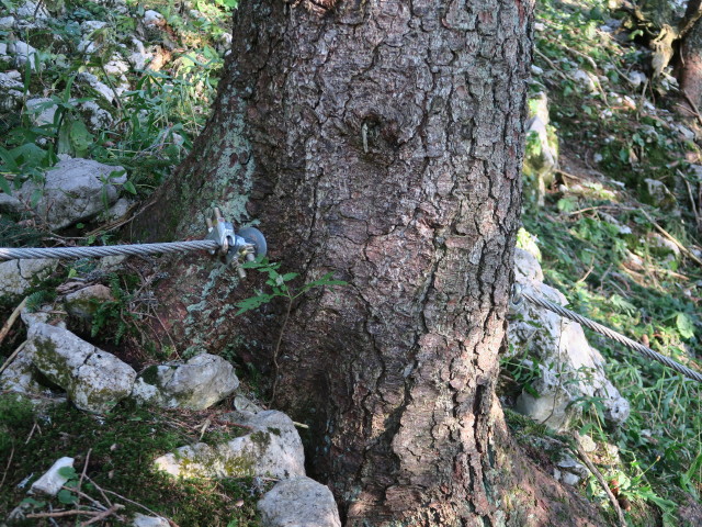 Bergmandl-Klettersteig: 1. Pfeiler (8. Sep.)