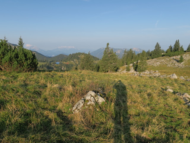 neben Weg 23 zwischen Schrotleitnerhütte und Geißhöhe (9. Sep.)