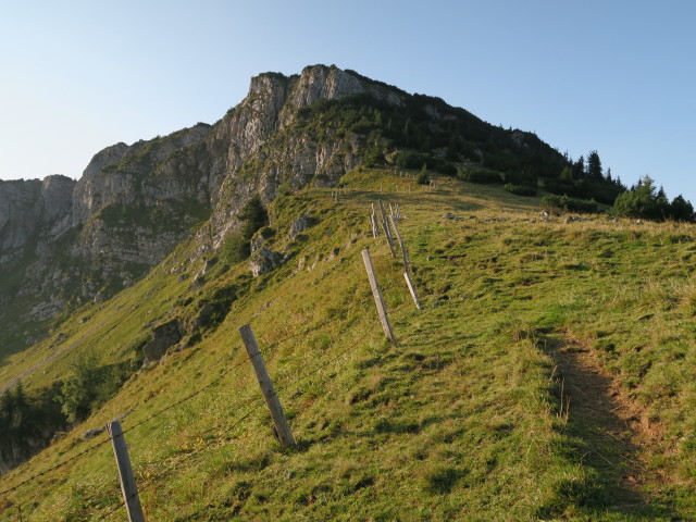 Weg 23 zwischen Schrotleitnerhütte und Geißhöhe (9. Sep.)