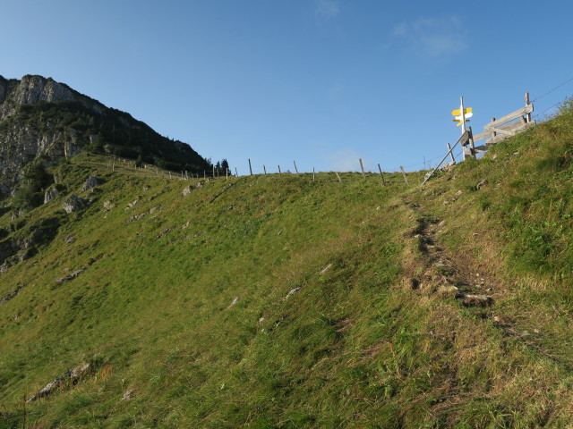 zwischen Schrotleitnerhütte und Geißhöhe (9. Sep.)