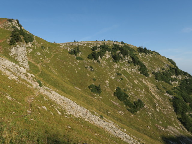 zwischen Schrotleitnerhütte und Geißhöhe (9. Sep.)