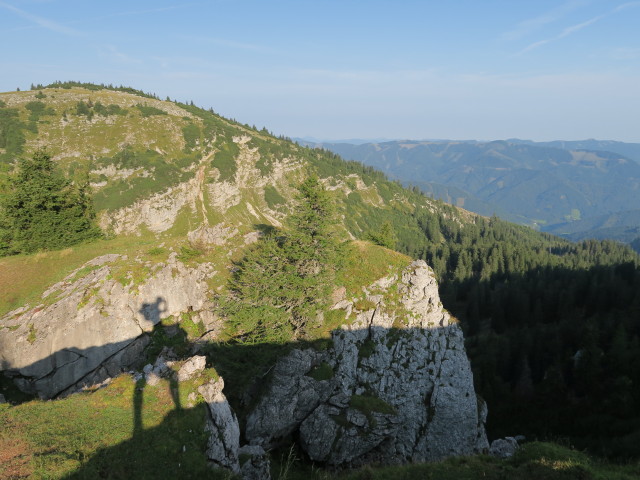 zwischen Schrotleitnerhütte und Geißhöhe (9. Sep.)