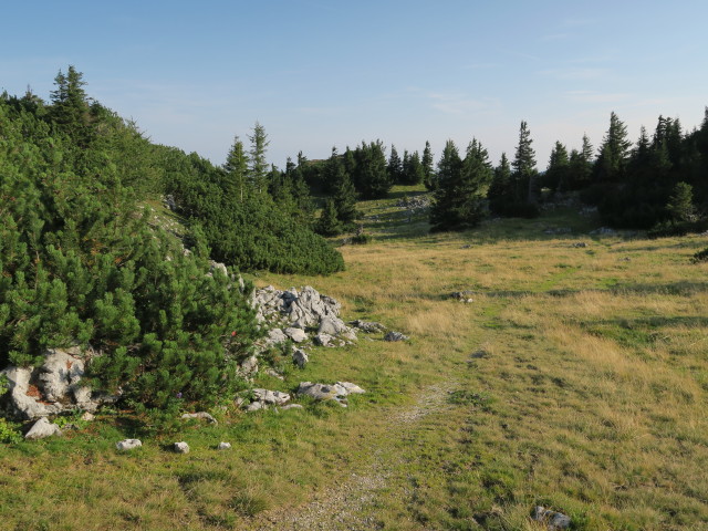 zwischen Schrotleitnerhütte und Geißhöhe (9. Sep.)