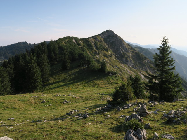 zwischen Schrotleitnerhütte und Geißhöhe (9. Sep.)