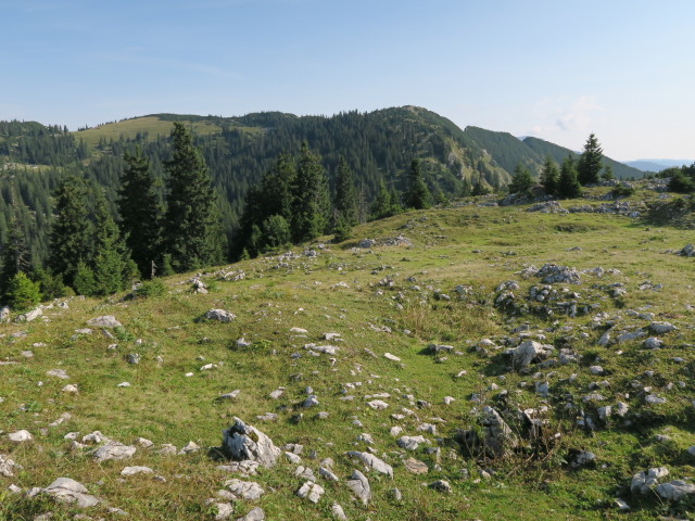 zwischen Munzenplan und Planstiege (9. Sep.)