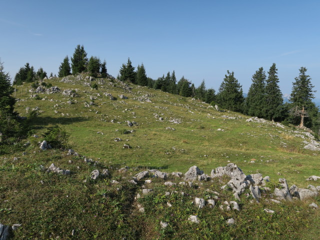 zwischen Munzenplan und Planstiege (9. Sep.)