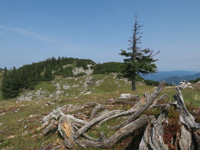 zwischen Ringkogel und Schwarzalm (9. Sep.)