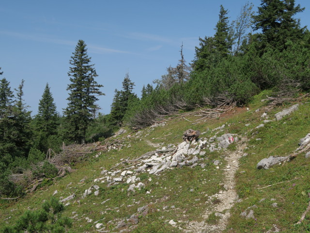 zwischen Ringkogel und Schwarzalm (9. Sep.)