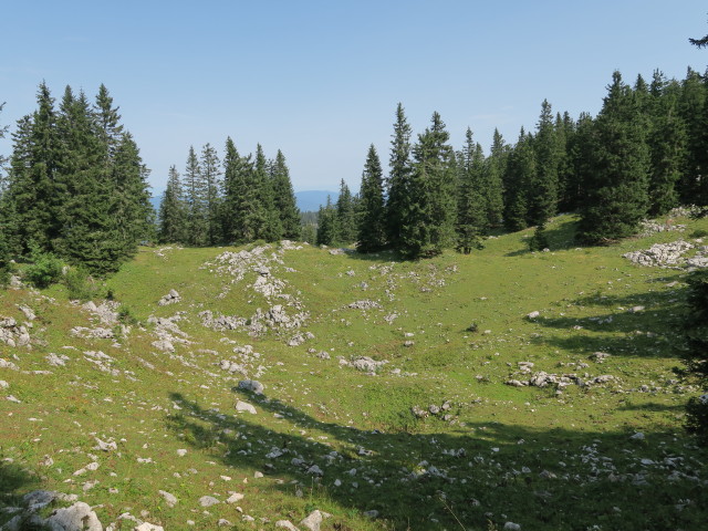 zwischen Ringkogel und Schwarzalm (9. Sep.)