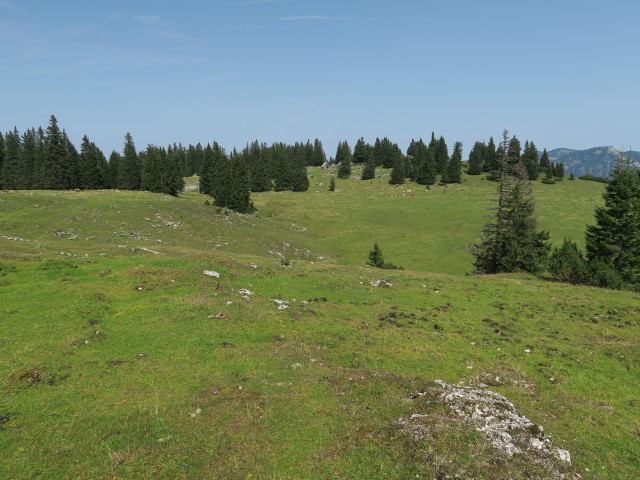 Wiesenalm, 1.486 m (9. Sep.)