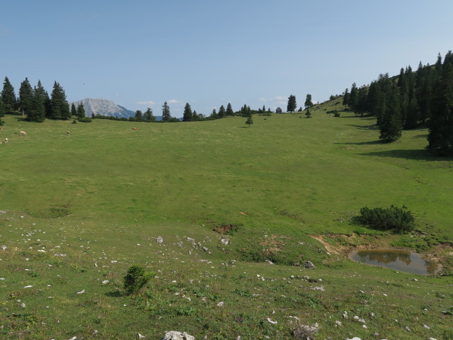 Wiesenalm, 1.486 m (9. Sep.)