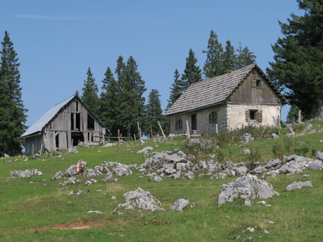 Wiesenalm, 1.486 m (9. Sep.)