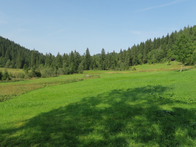 Leckermoor (9. Sep.)