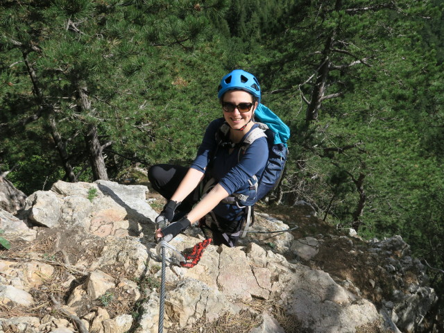 Gebirgsvereins-Klettersteig: Sabine im Braunerwandl