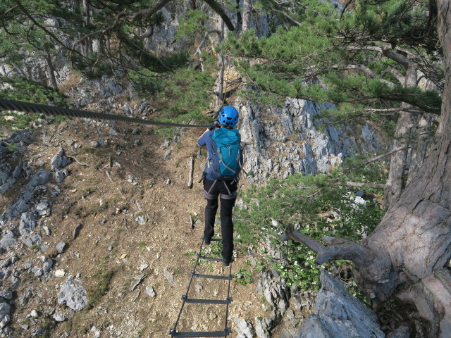 Gebirgsvereins-Klettersteig: Sabine auf der Seilbrücke