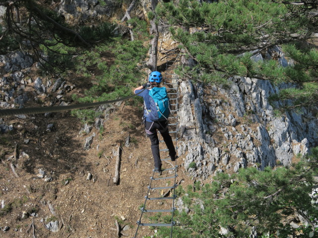 Gebirgsvereins-Klettersteig: Sabine auf der Seilbrücke