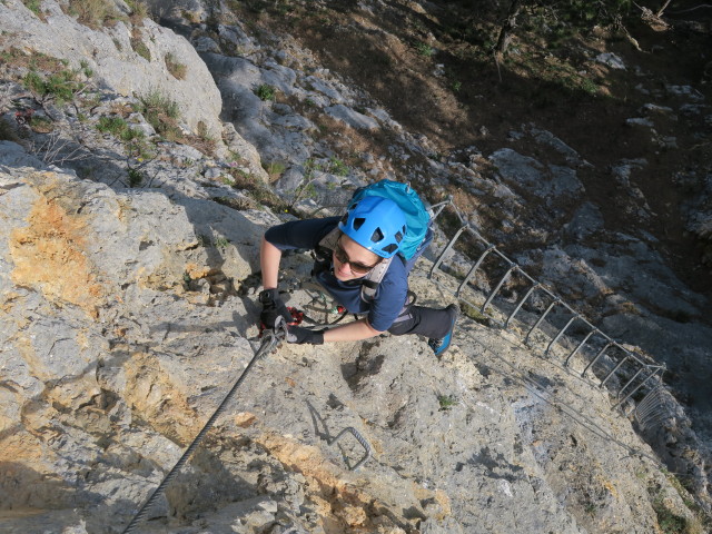 Gebirgsvereins-Klettersteig: Sabine in der Pannoniawand