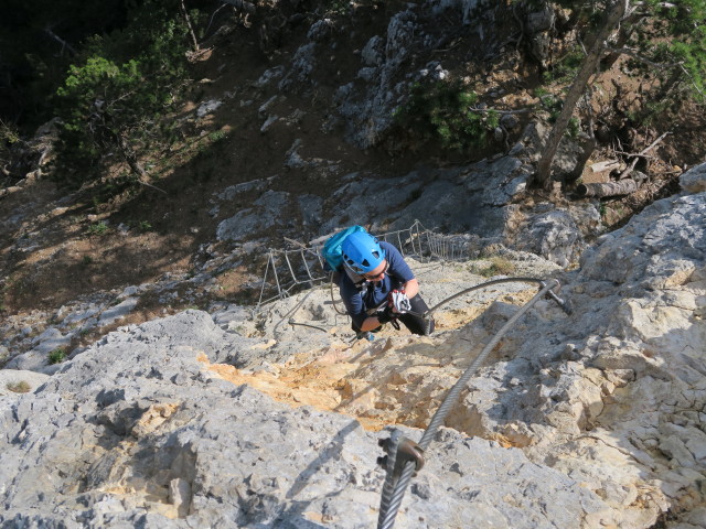 Gebirgsvereins-Klettersteig: Sabine in der Pannoniawand