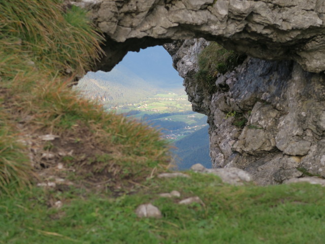 neben Weg 876 zwischen Bleckwandhütte und Bleckwand (22. Sep.)