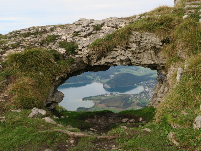 neben Weg 876 zwischen Bleckwandhütte und Bleckwand (22. Sep.)