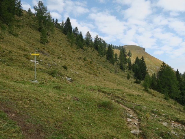 Weg 20 zwischen Erlbachhütte und Wieslerhorn (23. Sep.)