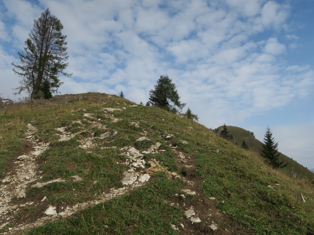 Weg 20 zwischen Erlbachhütte und Wieslerhorn (23. Sep.)