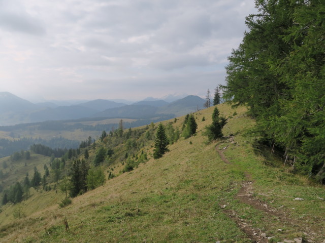 Weg 20 zwischen Erlbachhütte und Wieslerhorn (23. Sep.)